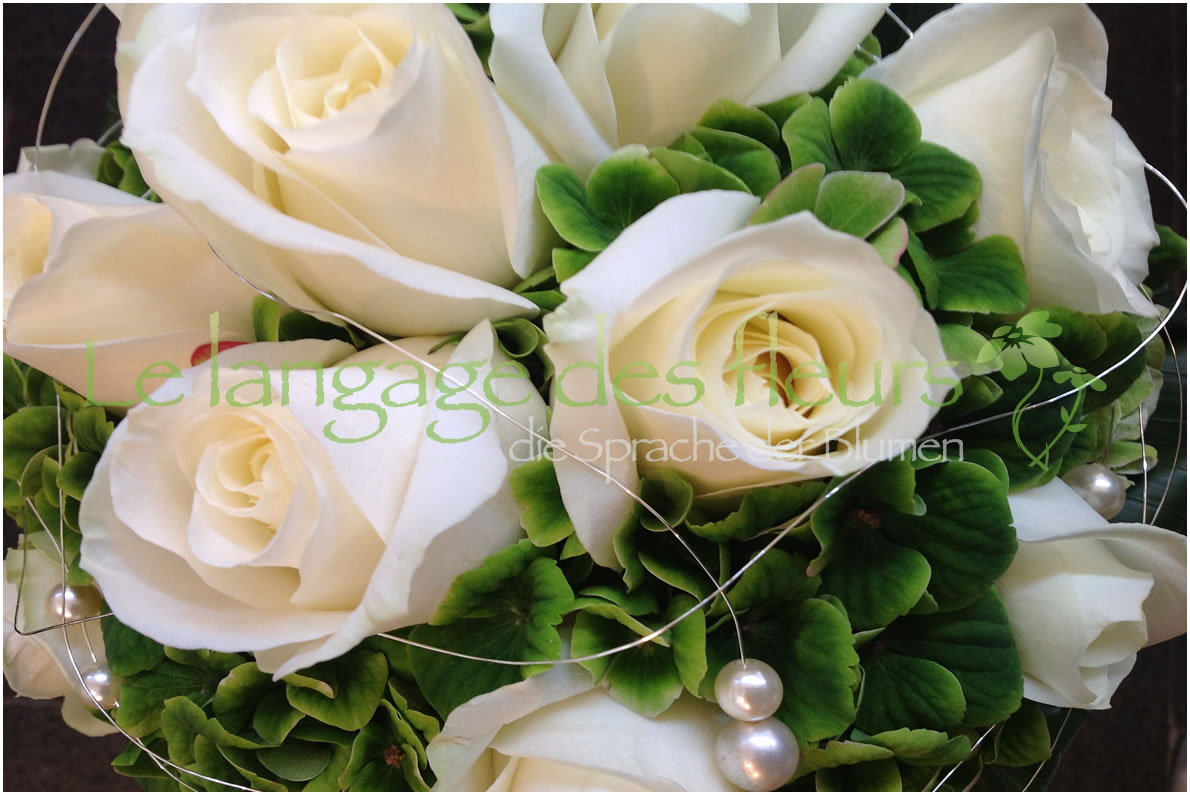Livraison Fleurs, Roses blanches
